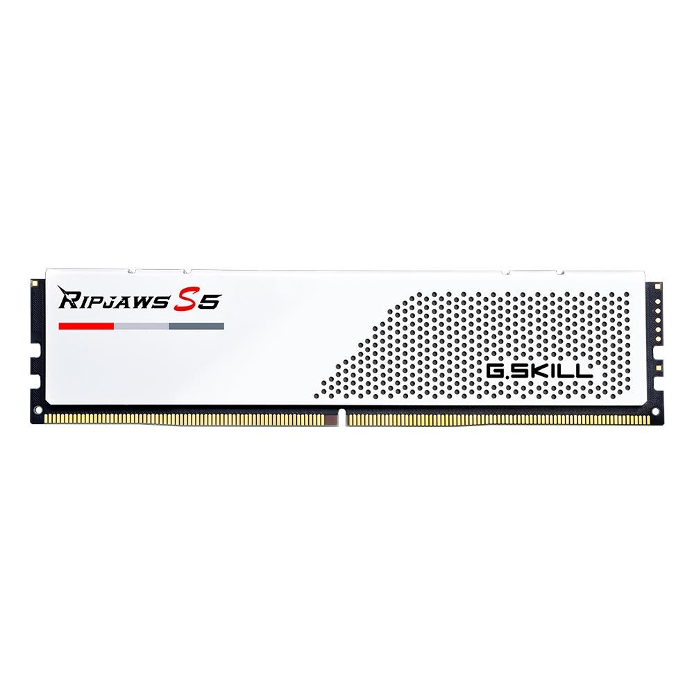 G.Skill Memoria DIMM Ripjaws S5 64 GB (2 x 32 GB) DDR5 CL36